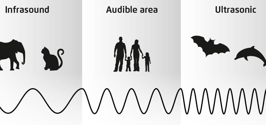 Sóng siêu âm có tần số bao nhiêu?